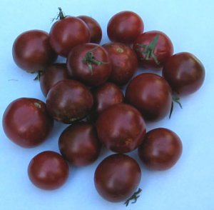 Black Cherry Tomato Seeds- 100