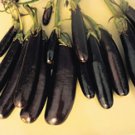 Little Fingers Eggplant Seeds- 200