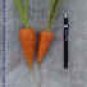 Chantennay Carrot Seeds- 400