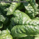 Giante D' Inverno Spinach Seeds- 200