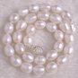 17 Inch White Freshwater Pearl Necklace with Sterling Silver Clasp