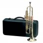 Maxam™ Brass Trumpet