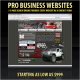 Professional Websites
