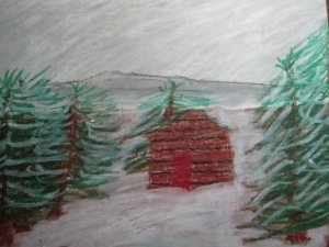 The Cabin