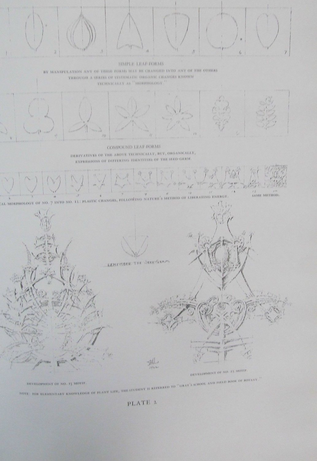 A System of Architectural Ornament by Sullivan, Louis H