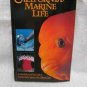 California Marine Life, by Snyderman, Marty