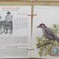 Singer Sewing Machine  - American Singer Series 15 cards