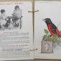 Singer Sewing Machine - American Singer Series 15 cards