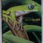 Painting the Secret World of Nature