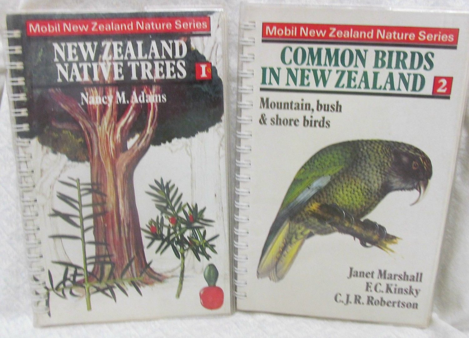 New Zealand Native Trees and Common Birds