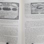 Document Stories Mock, Stanford