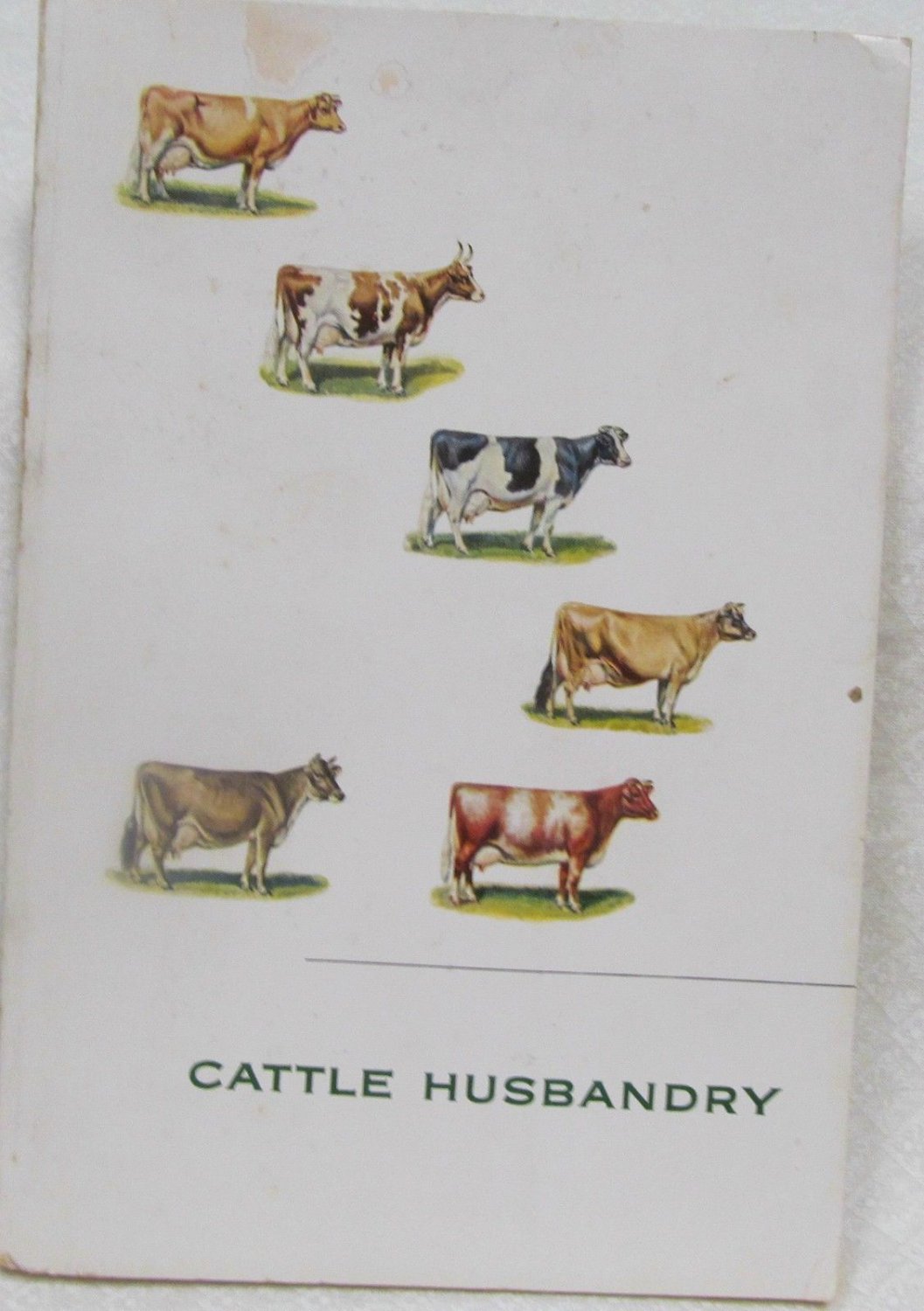 Cattle Husbandry by Lederle Labs.