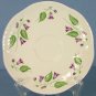 Shelley Campanula (Dainty) Saucer Only