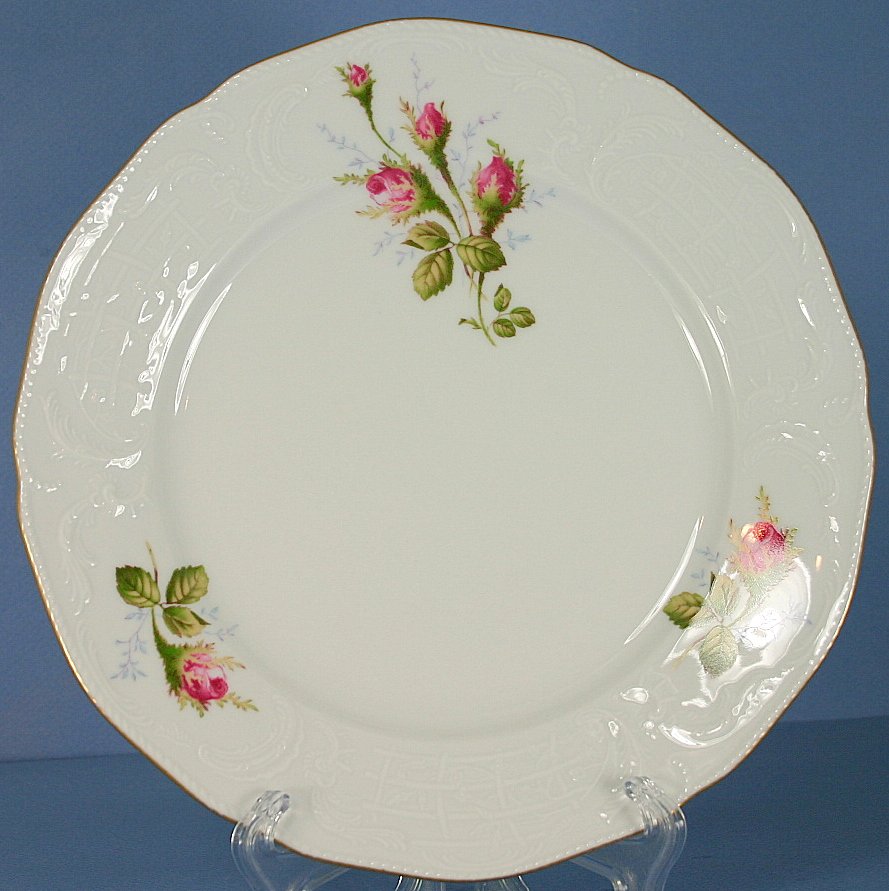 Rosenthal Moss Rose (Sanssouci, White) 8