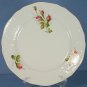 Rosenthal Moss Rose (Sanssouci, White) 8" Salad Plate