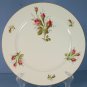 Rosenthal Petal Lane Dinner Plate