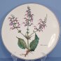 Villeroy & Boch Botanica Cake Plate - Salvia Pratensis