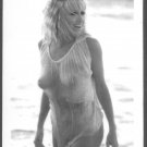 ACTRESS SUZANNE SOMMERS TOPLESS NUDE HUGE BREASTS NEW REPRINT 5 X 7 #1 ACTRESS SUZANNE SOMMERS TOPLESS NUDE HUGE BREASTS NEW REPRINT 5 X 7 #1