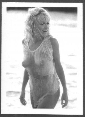 ACTRESS SUZANNE SOMMERS TOPLESS NUDE HUGE BREASTS NEW REPRINT 5 X 7  #1