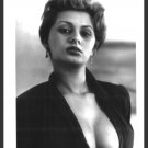 ACTRESS SOPHIA LOREN BUSTY BOSOMY DEEP CLEAVAGE NEW REPRINT 5X7  SL-1