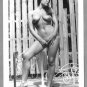 JUNE PALMER TOTALLY NUDE NEW REPRINT PHOTO 5X7 #123