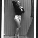 VIRGINIA BELL HUGE BREASTS TIGHT SWEATER POSE NEW REPRINT 5 X 7 #181
