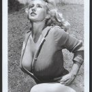VIRGINIA BELL BUSTY HUGE BREASTS SWEATER POSE NEW REPRINT 5 X 7 #261