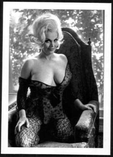 STRIPPER LIZ RENAY BUSTY BOSOMY CLEAVAGE IN BLACK LACE POSE 5X7 REPRINT #4