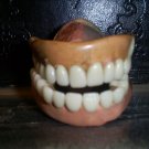 Circa 1920s Authentic False Teeth-Very Strange Artifact!