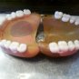 Circa 1920s Authentic False Teeth-Very Strange Artifact!