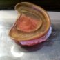 Circa 1920s Authentic False Teeth-Very Strange Artifact!