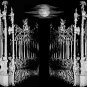 Ghost Hunting 101 Ebook-VERY Informative!-More than 25 pages!