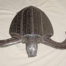 SEA TURTLE