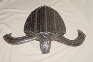 SEA TURTLE