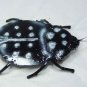 BEETLE