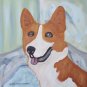 Corgi Bliss