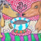 Do Longhaired Dachshunds Have Coffee?