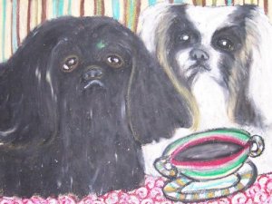 Do Pekingese Have Coffee?