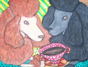 Do Standard Poodles Have Coffee?