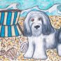 Tibetan Terrier at the Beach