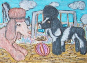 Do Standard Poodles Have Recess?