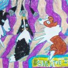 Sheltie Idol