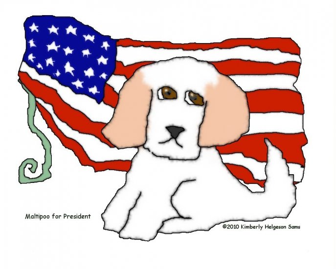 Maltipoo for President Dog Art Print