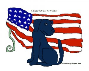 Black Lab for President Dog Art Print