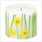 #39210 Darling Daisies Candle