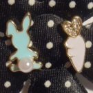 Blue Bunny Loves Carrot