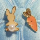 White Bunny Loves Carrot