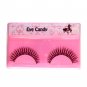 False Eyelashes Auditioning Set
