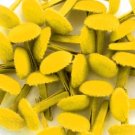 Doodlebug Design Inc.Crushed Velvet Brads - Bumblebee