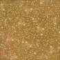 BasicGrey Bittersweet Collection - Almond toffee 12x12 paper sheets